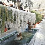 باغ رستوران کلبه