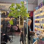 داروخانه شبانه روزی جی