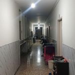 دانشگاه سمنان