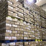 پخش گوشت نوین