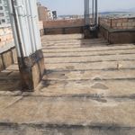 ناصر نقدی نژاد شایق