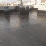 ناصر نقدی نژاد شایق