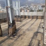 ناصر نقدی نژاد شایق