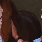 اِلمان استودیو