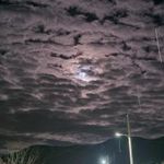 خانه هلال احمر آورگان
