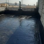 ناصر نقدی نژاد شایق