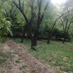 تنگ بستانک   بهشت گمشده