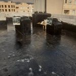 ناصر نقدی نژاد شایق