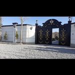 مهدی پیرزاد