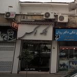 عینک سازی اسکویی