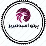 واردات و صادرات بازرگانی پرتو امید