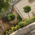 سم پاشی باغبانی سمپاشی هرس آقا نودهی