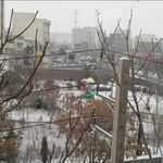 بوستان رضوان