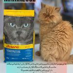 کلینیک دامپزشکی لیون