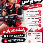 باشگاه رزمی دانایان