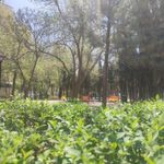 بوستان بهار