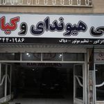 شالیزار شهرک
