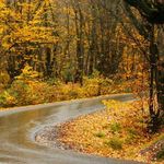 پارک جنگلی نهارخوران