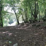 پارک جنگلی نهارخوران