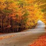 پارک جنگلی نهارخوران