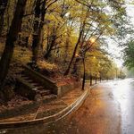 پارک جنگلی نهارخوران