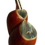 آموزشگاه موسیقی نیما فریدونی