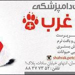 دامپزشکی شهرک غرب