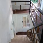 ویلا اجاره ای عالمی