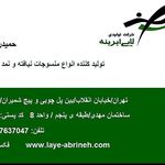 دفتر شرکت لایه ابرینه دلیجان