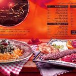 تهیه غذای اسنوژی