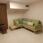 امیرحسین چهاردولی کریم آبادی