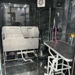 کلینیک دامپزشکی دکتر صابرنیا