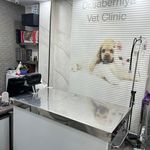 کلینیک دامپزشکی دکتر صابرنیا