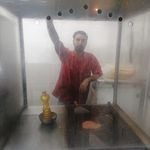 ساندويچ گلستان