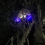 کافه رستوران سنتی بلوط