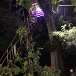 کافه رستوران سنتی بلوط