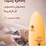 محصولات موی فر آرگان میداس