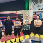 کلاب بوکس شاهین