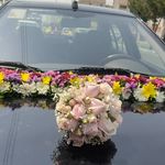 گلفروشی سی تو (ارسال رایگان)