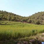 منطقه حفاظت گردیده هلن