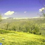 منطقه حفاظت گردیده هلن