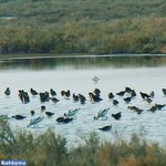 تالاب بند علیخان