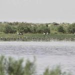 تالاب بند علیخان