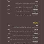 فست فود دکتر آرین ارجینال فود