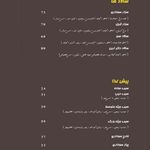 فست فود دکتر آرین ارجینال فود