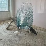 باغ پرندگان چهارباغ