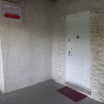 دکتر سهیلا علیمحمدی