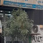 بیمه ایران نمایندگی فاطمه امیری