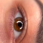 مرکز میکروبلیدینگ فائزه دیلمی