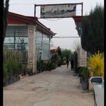 گلخانه مرادی
